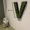 Personlige Mos Bogstaver - Navneskilt, Initialer, Vægskilt