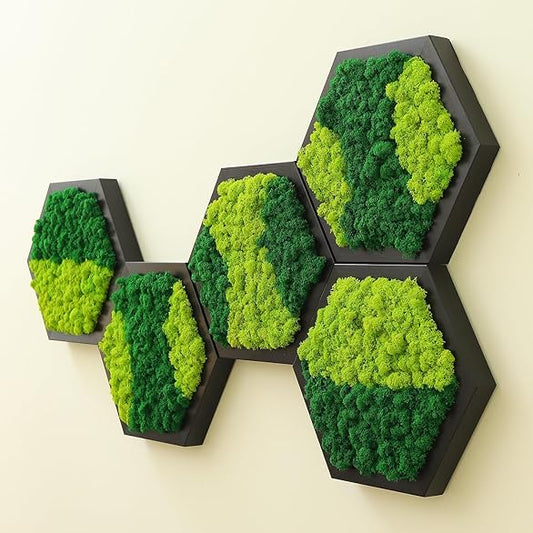 Hexagon Mos Vægkunst I Indrammet Design - Sæt med 3 stk